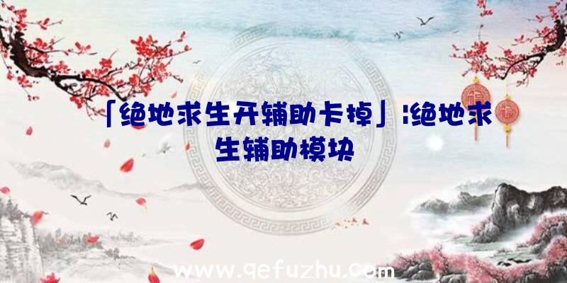 「绝地求生开辅助卡掉」|绝地求生辅助模块
